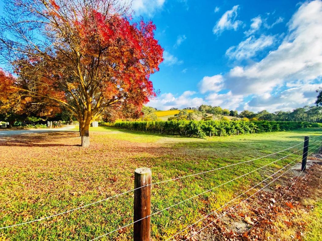 Hotel Adelaide Hills Escape Woodside Exterior foto