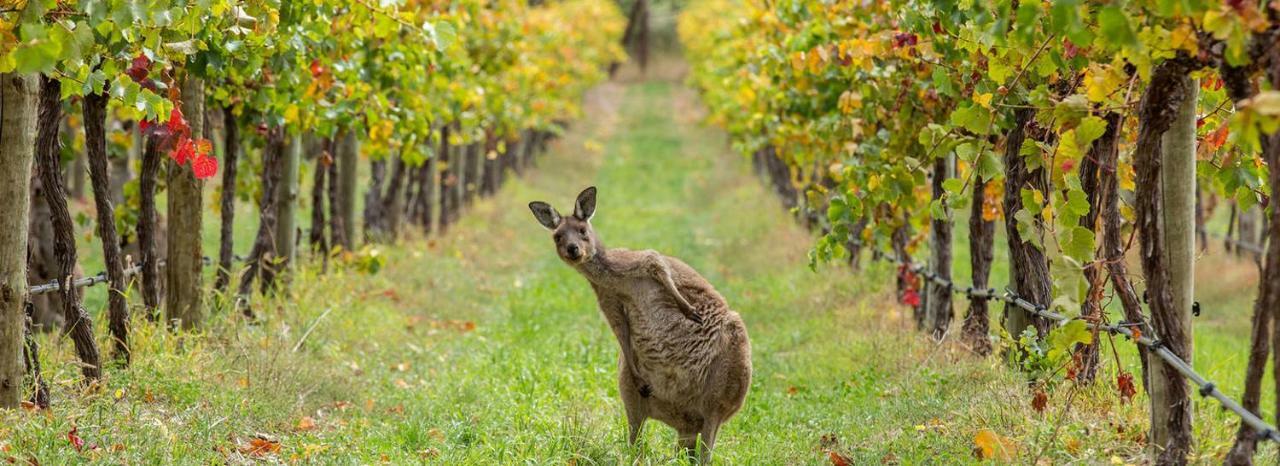 Hotel Adelaide Hills Escape Woodside Exterior foto